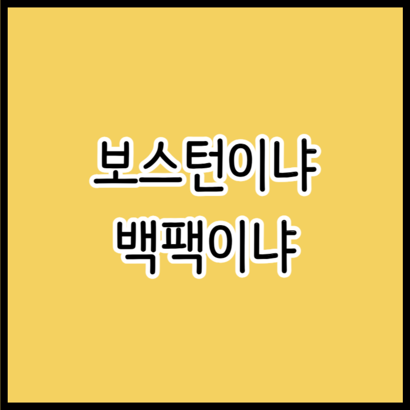 파크골프채가방 고민, 보스턴 vs 백팩 선택 추천 가이드