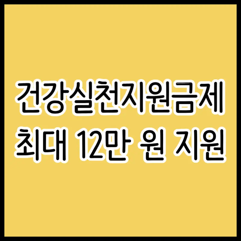 2026년 건강생활실천지원금제 신청 방법 및 최대 12만 원 지급 대상자 확인