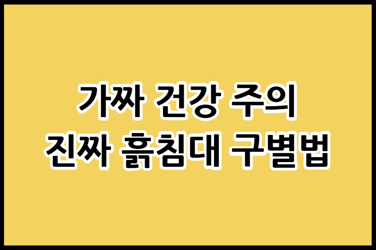 전자파 없는 흙침대 고르는 법과 구매 전 필수 체크리스트 이미지