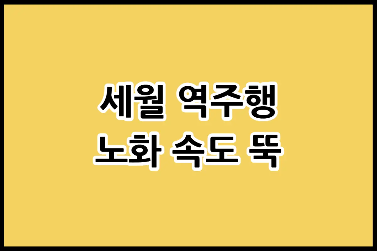슬로우에이징 뜻과 노화를 늦추는 5가지 핵심 식단 및 운동 가이드